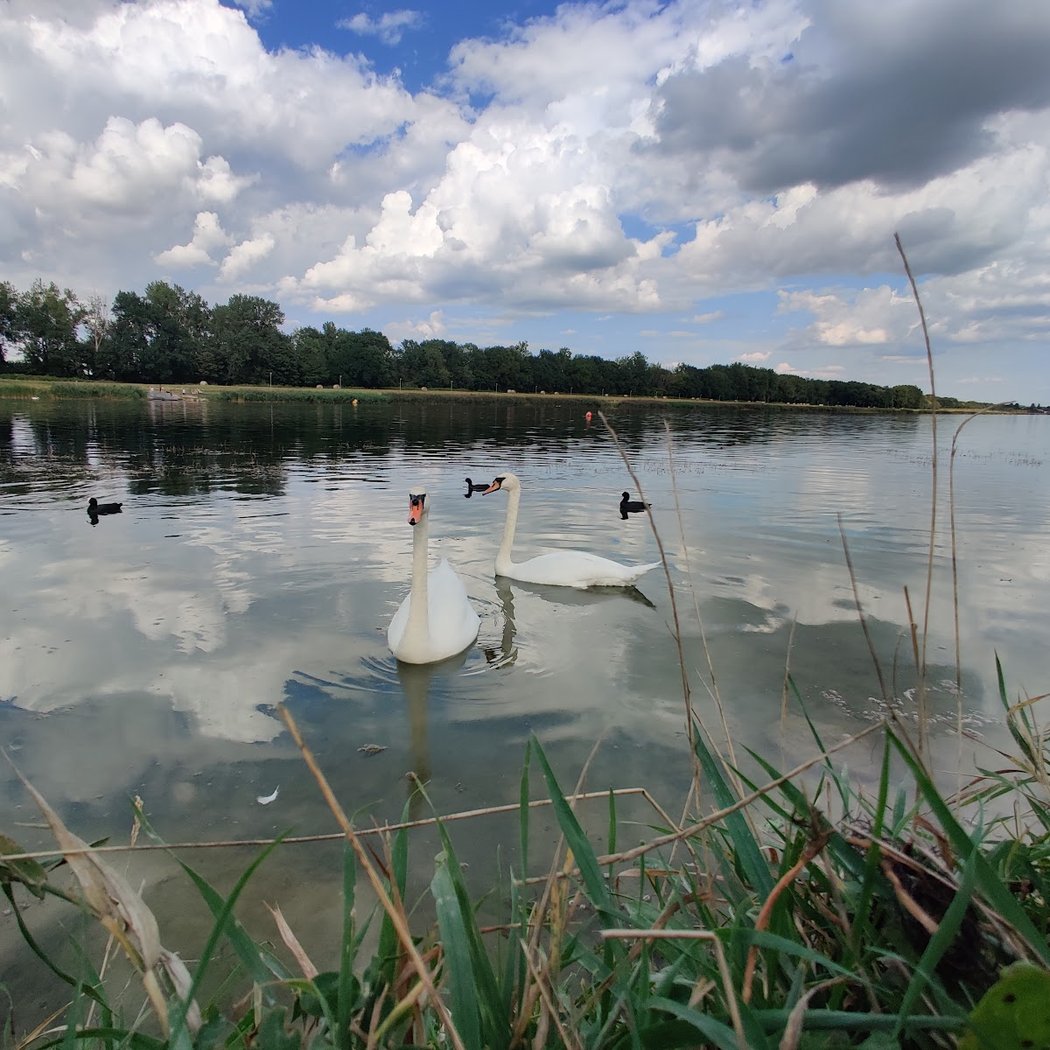 Accès au Lac de Chelles-Vaires par les bords de Marne de Chelles. 3